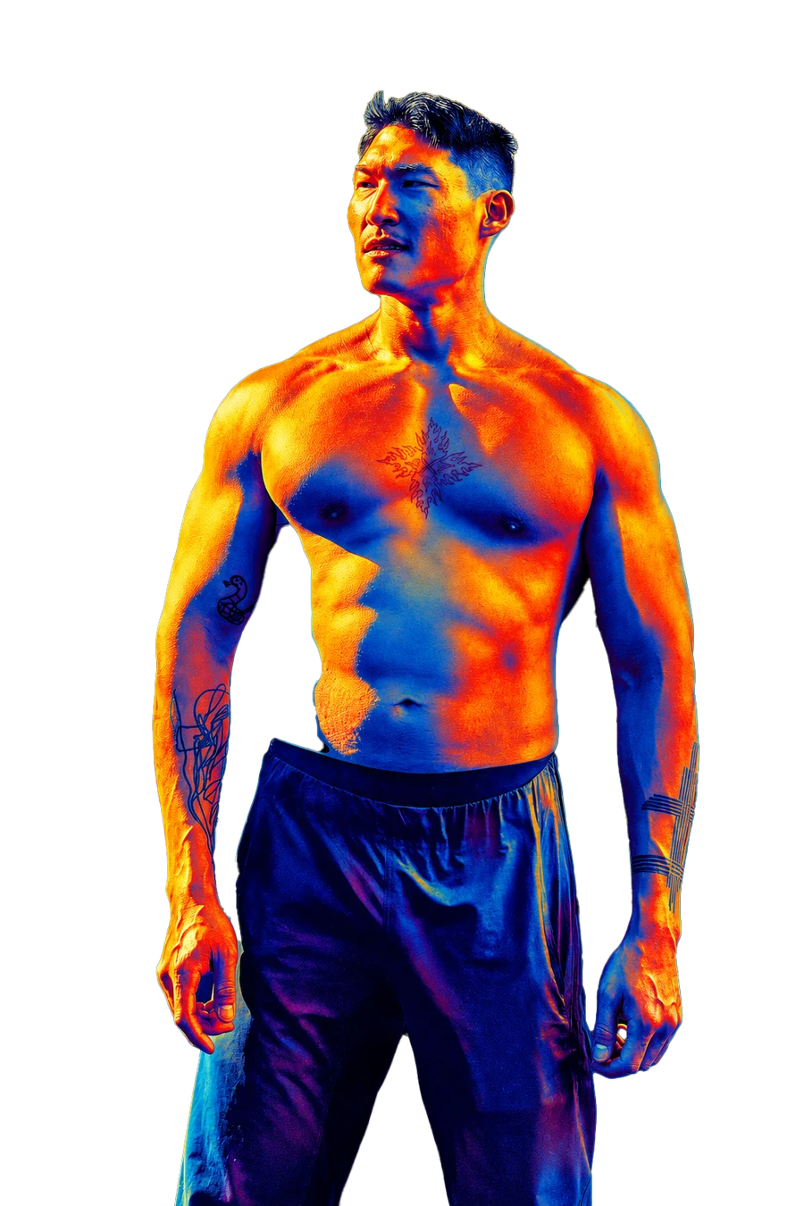 Michael Cho — thermal portrait